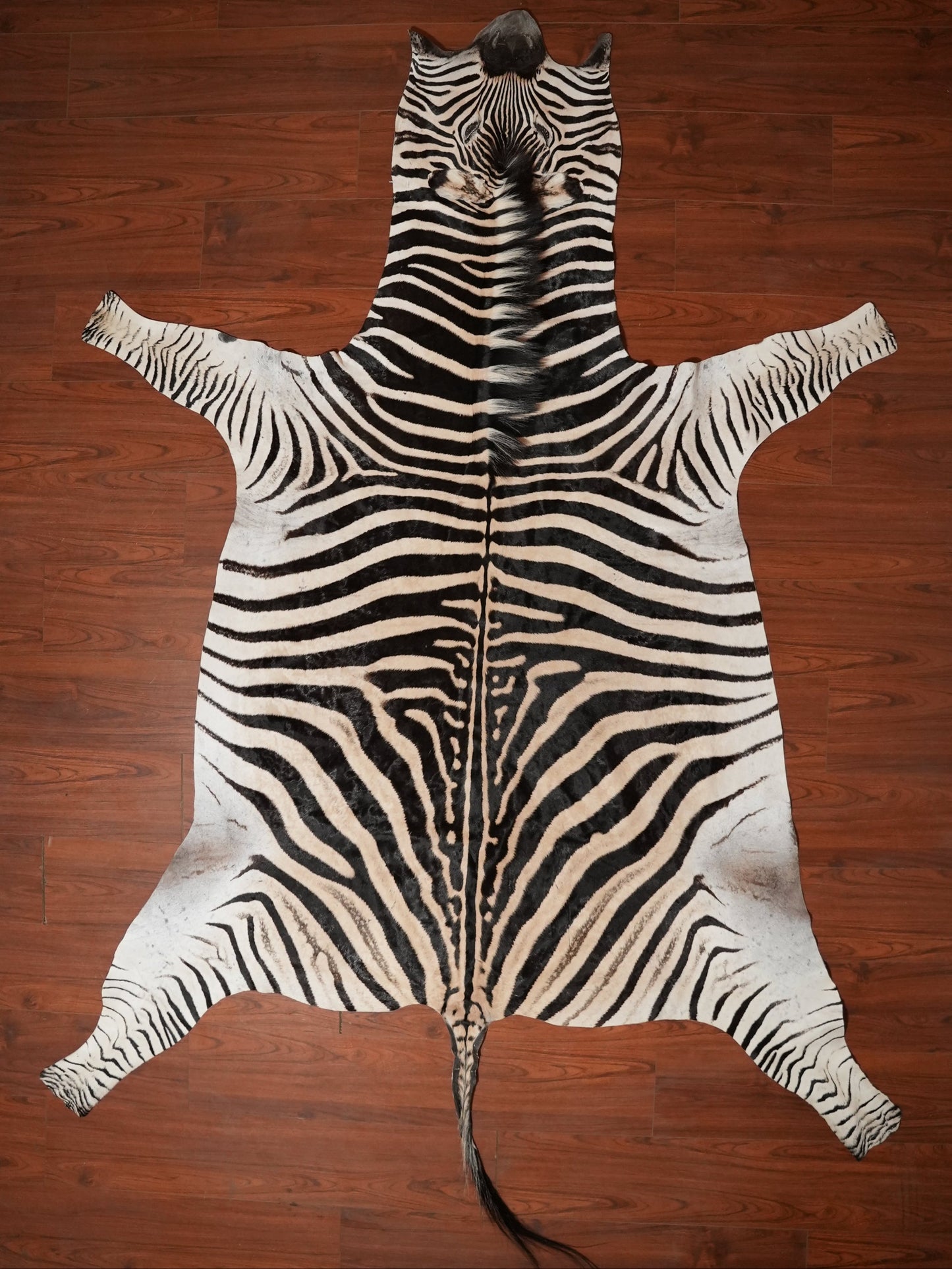 AA ZEBRA HIDE 308 x 230 (XL)