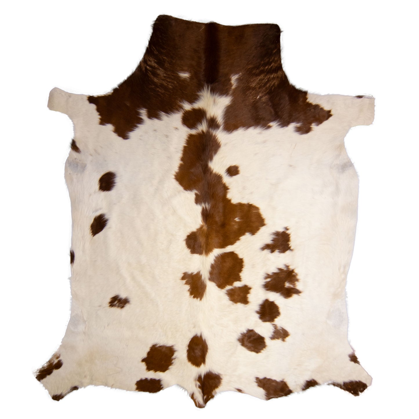 Nguni Hide - BW 240
