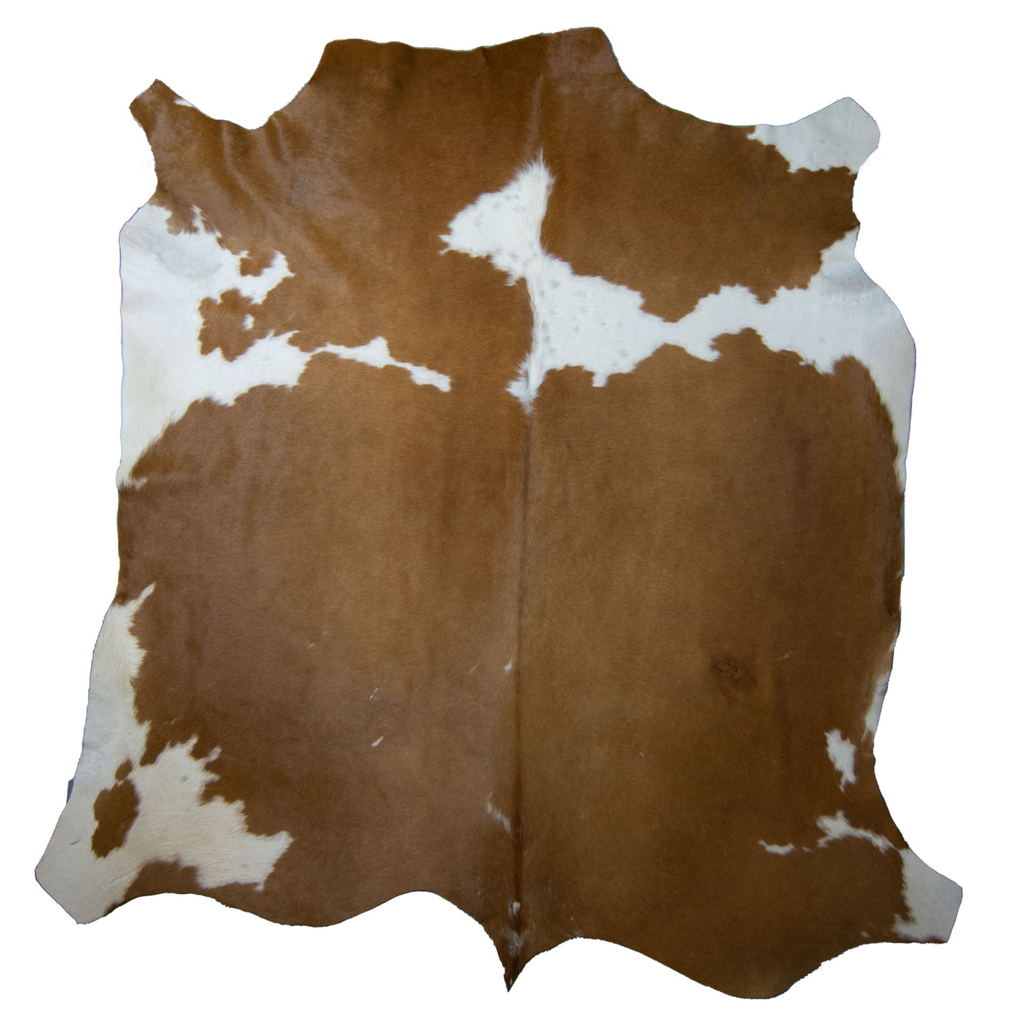 Nguni Hide - BW 242
