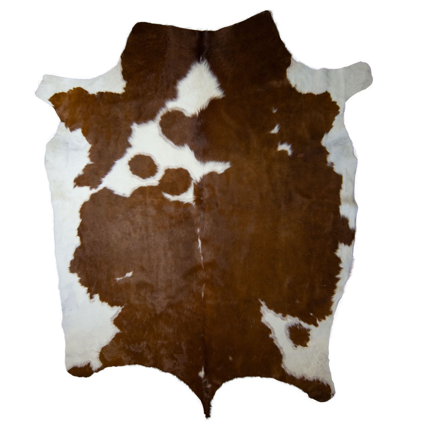 Nguni Hide - BW 243