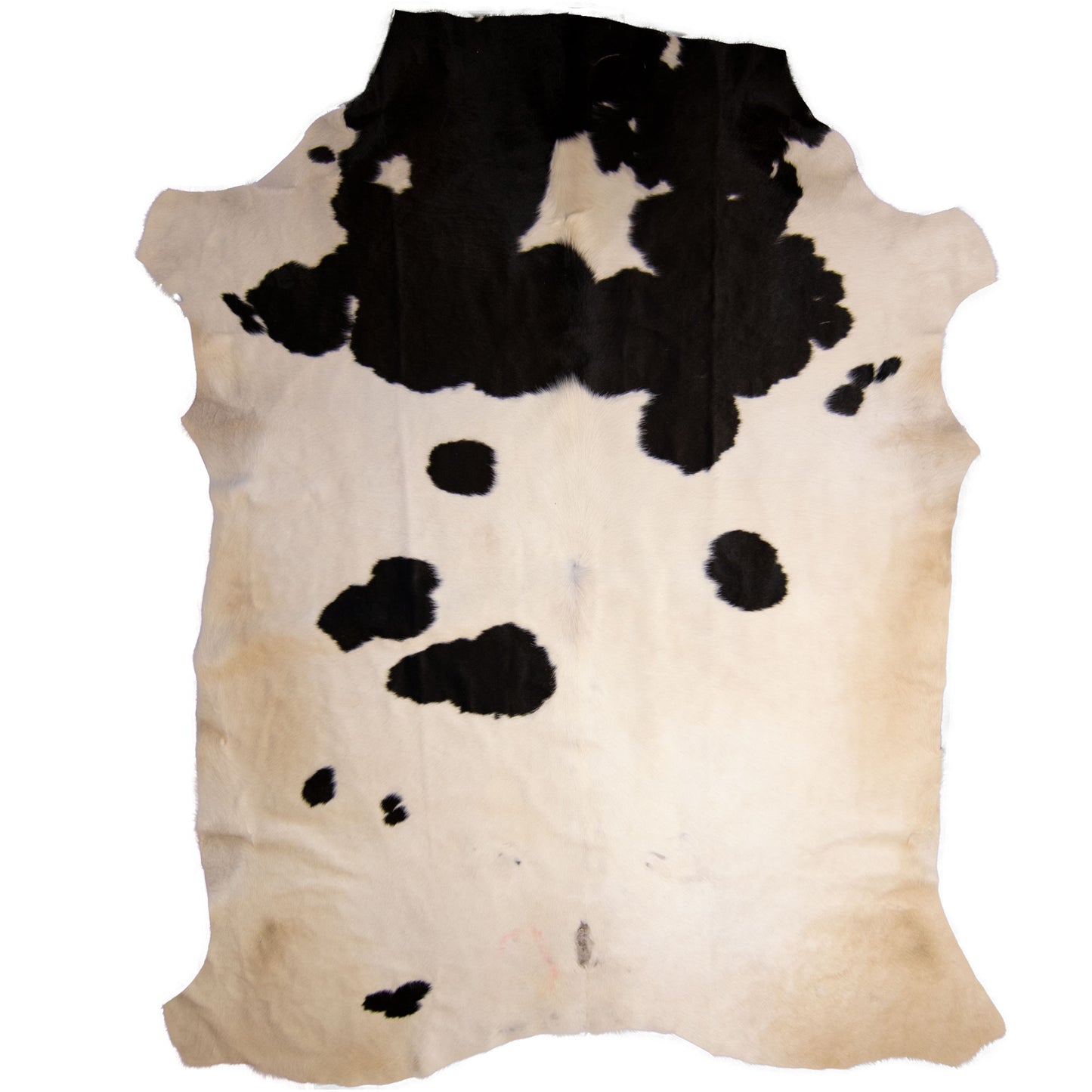 Nguni Hide - BW 244