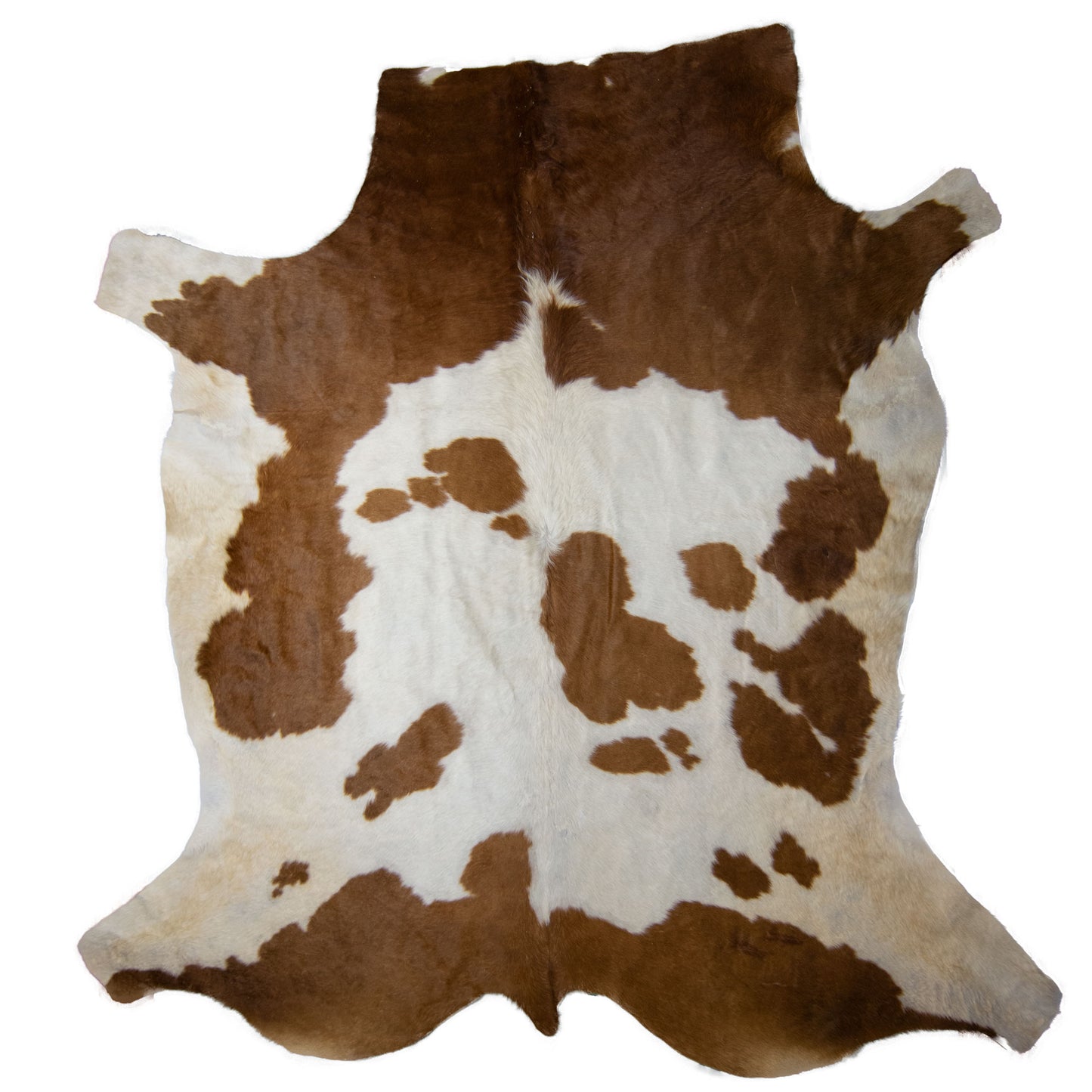 Nguni Hide - BW 245