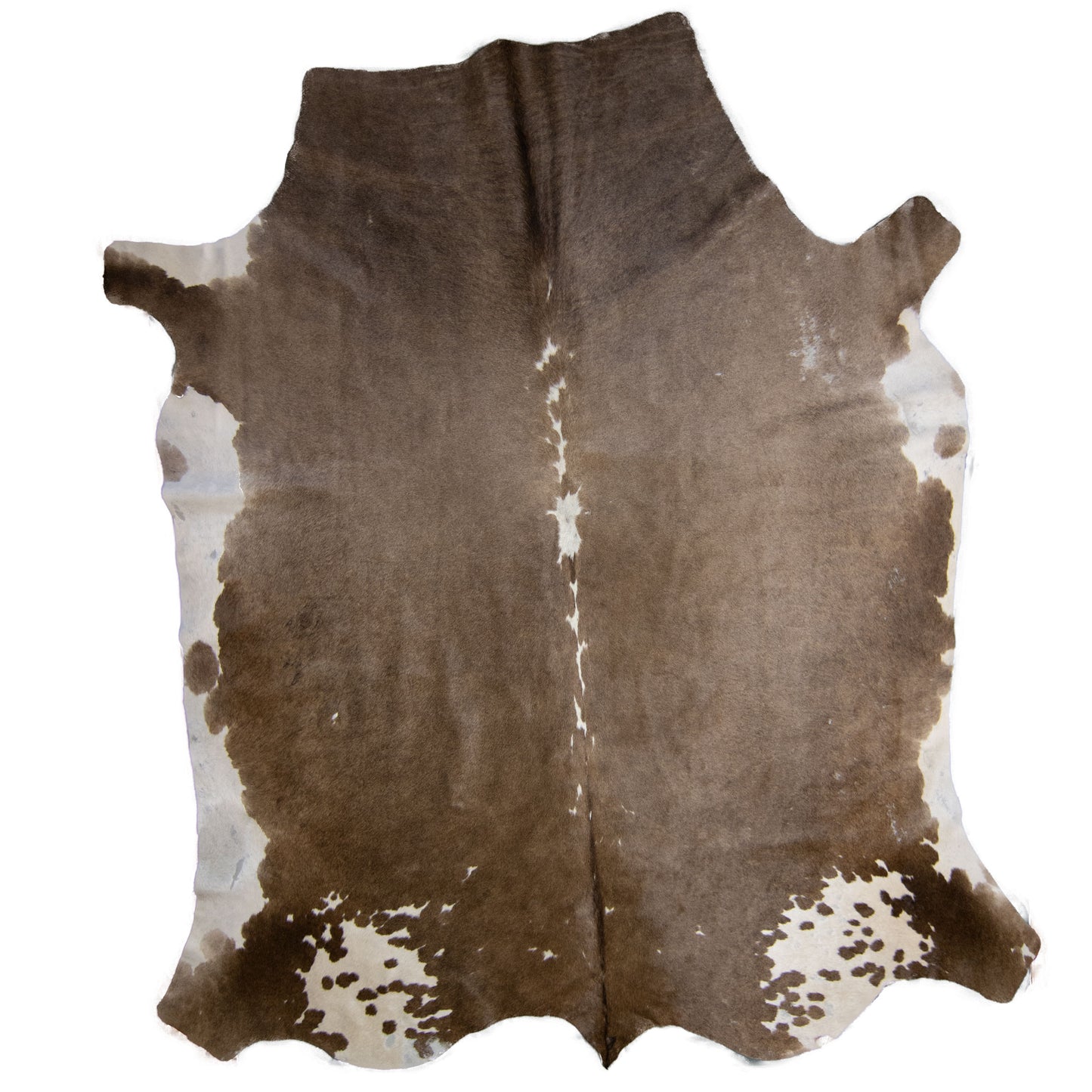 Nguni Hide - BW 246
