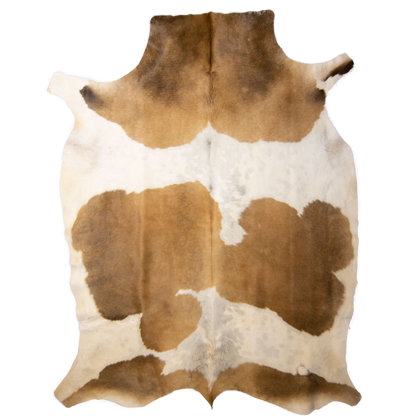 Nguni Hide - BW 234