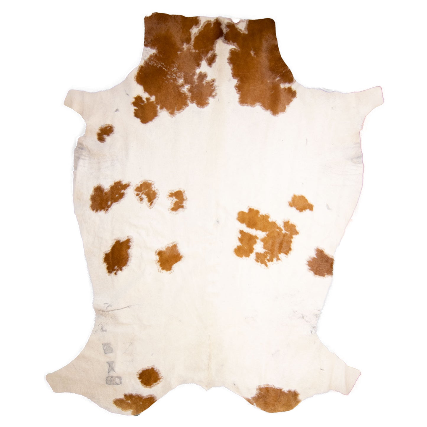 Nguni Hide - BW 235