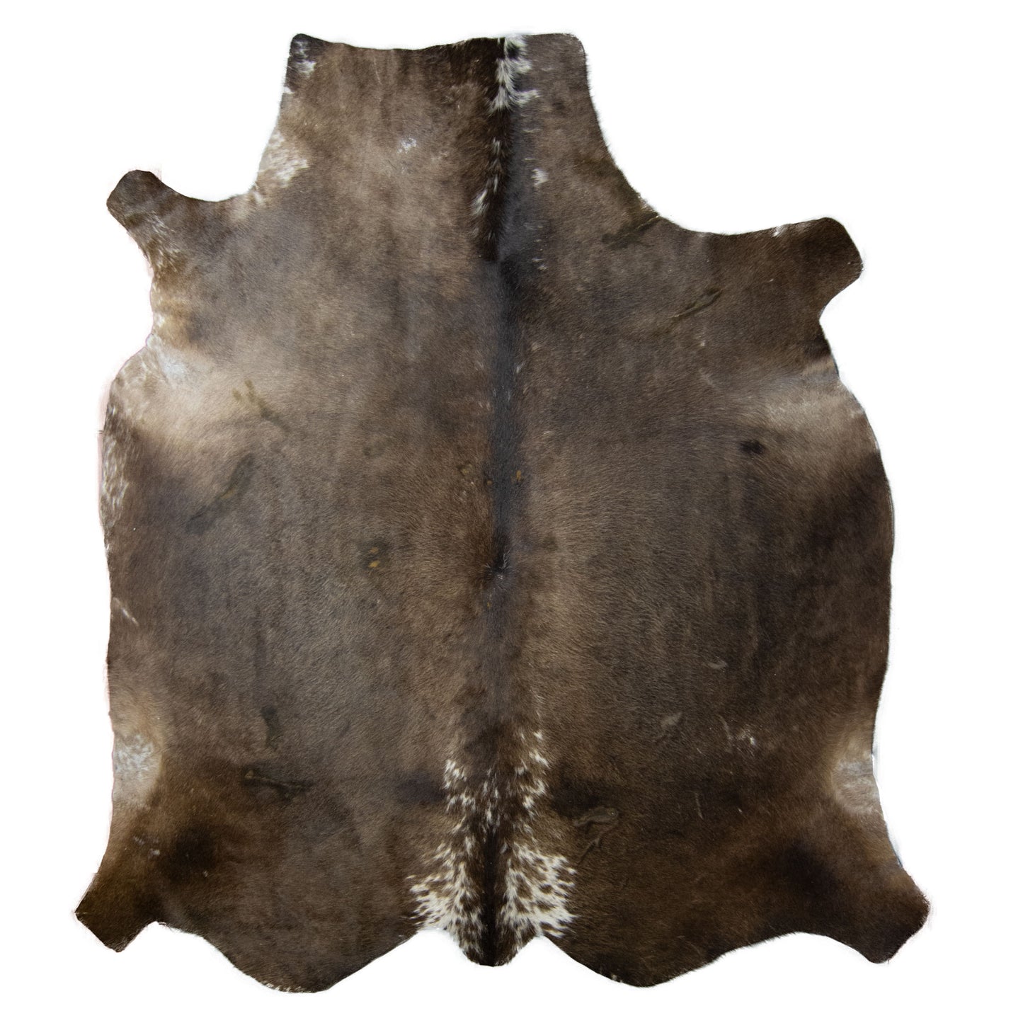 Nguni Hide - BW 236