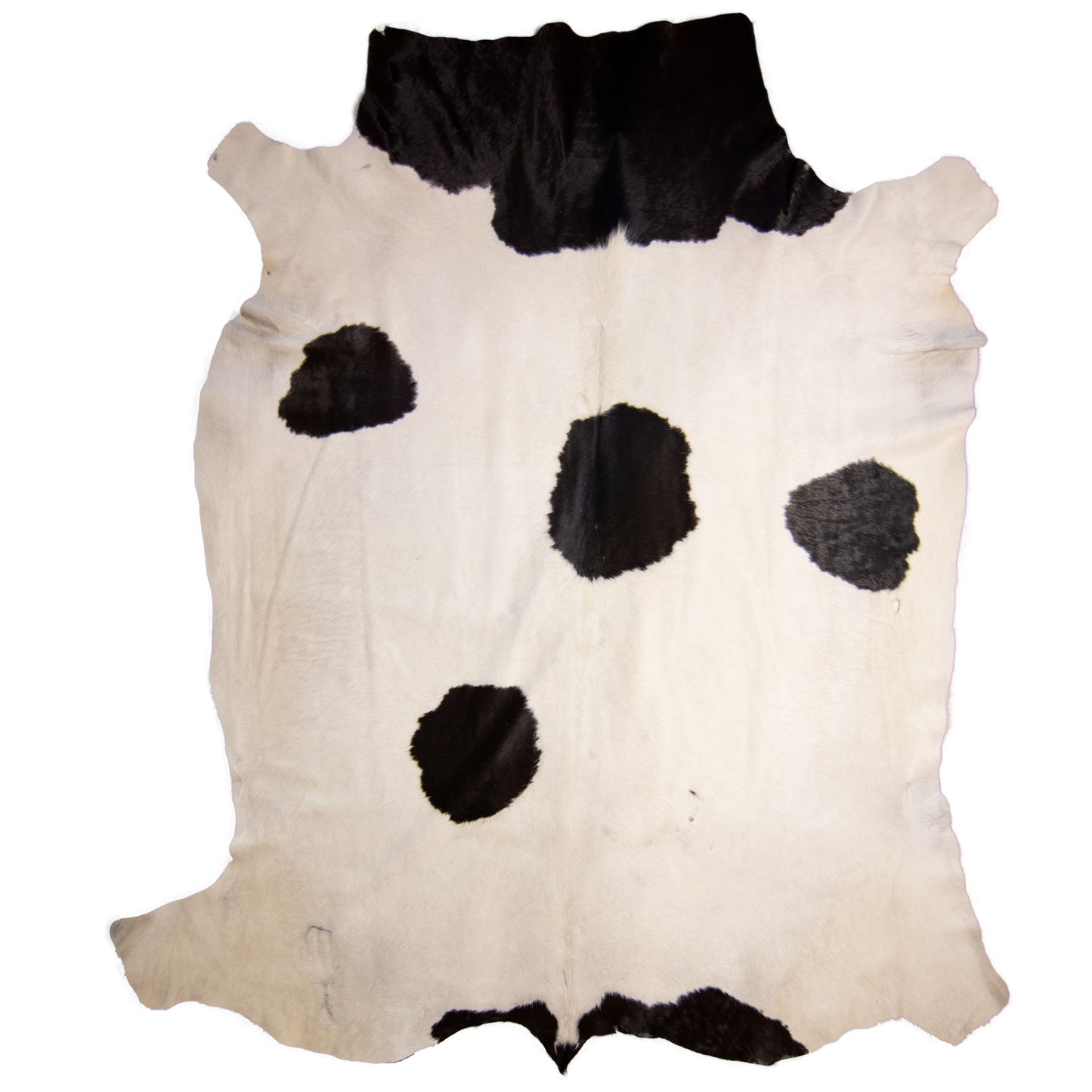 Nguni Hide - BW 237