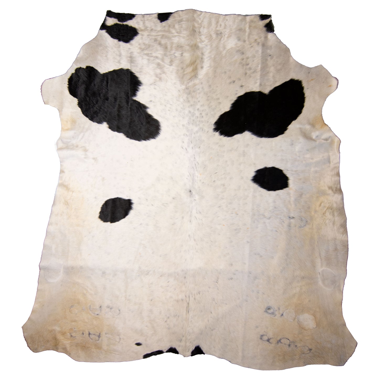 Nguni Hide - BW 238