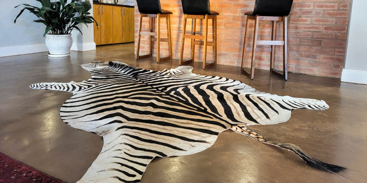 Zebra Hides