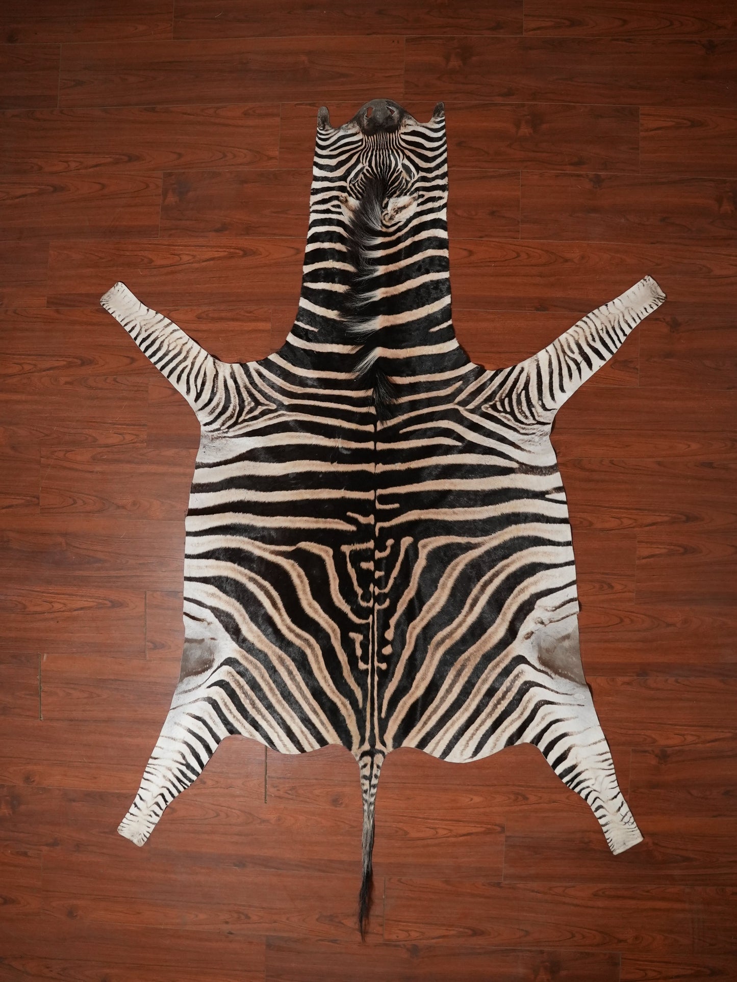 A ZEBRA HIDE 262 x 186 (M)
