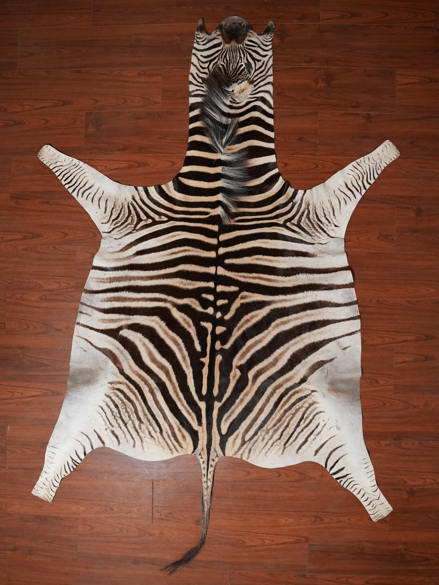 A ZEBRA HIDE 266 x 190 (M)