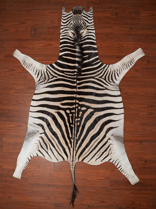 B ZEBRA HIDE 269 x 193 (L)