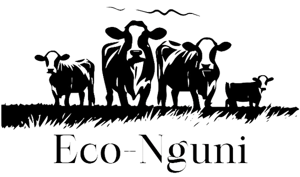 Eco-Nguni